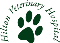 Hilton Veterinary Care Hospital logo