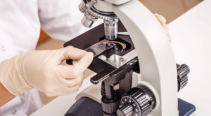 veterinarian examining a slide on a microscope