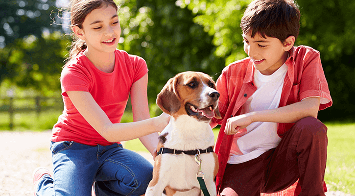 two kids petting a beagle dog