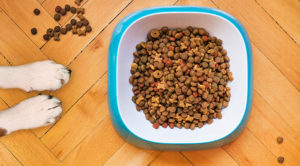 bowl full of dog kibble with a dogs paws next to it