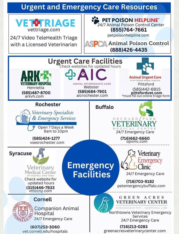 24 hour animal urgent hot sale care